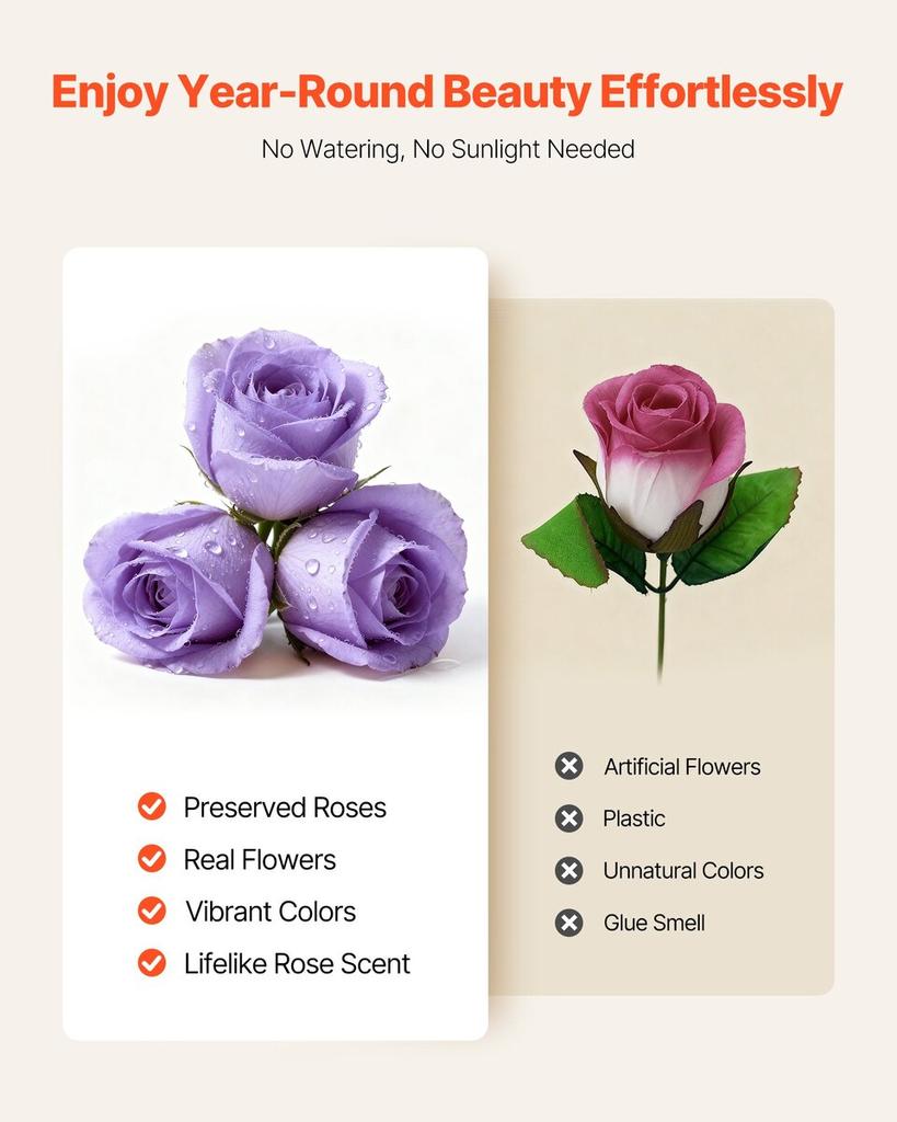 Forever Flowers, 50 Preserved Roses In a Box, Eternal Flowers Immortal Bouquet Birthday Present for Women Her Wife Mothers, Anniversary, Valentine's