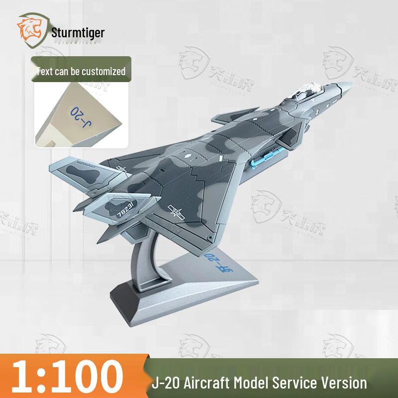 Assault Tiger J-20 Fighter Jet Model