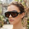 Retro-style one-piece lens glasses for street fashion, hip-hop trend sunglasses, and outdoor sun-protection shades.