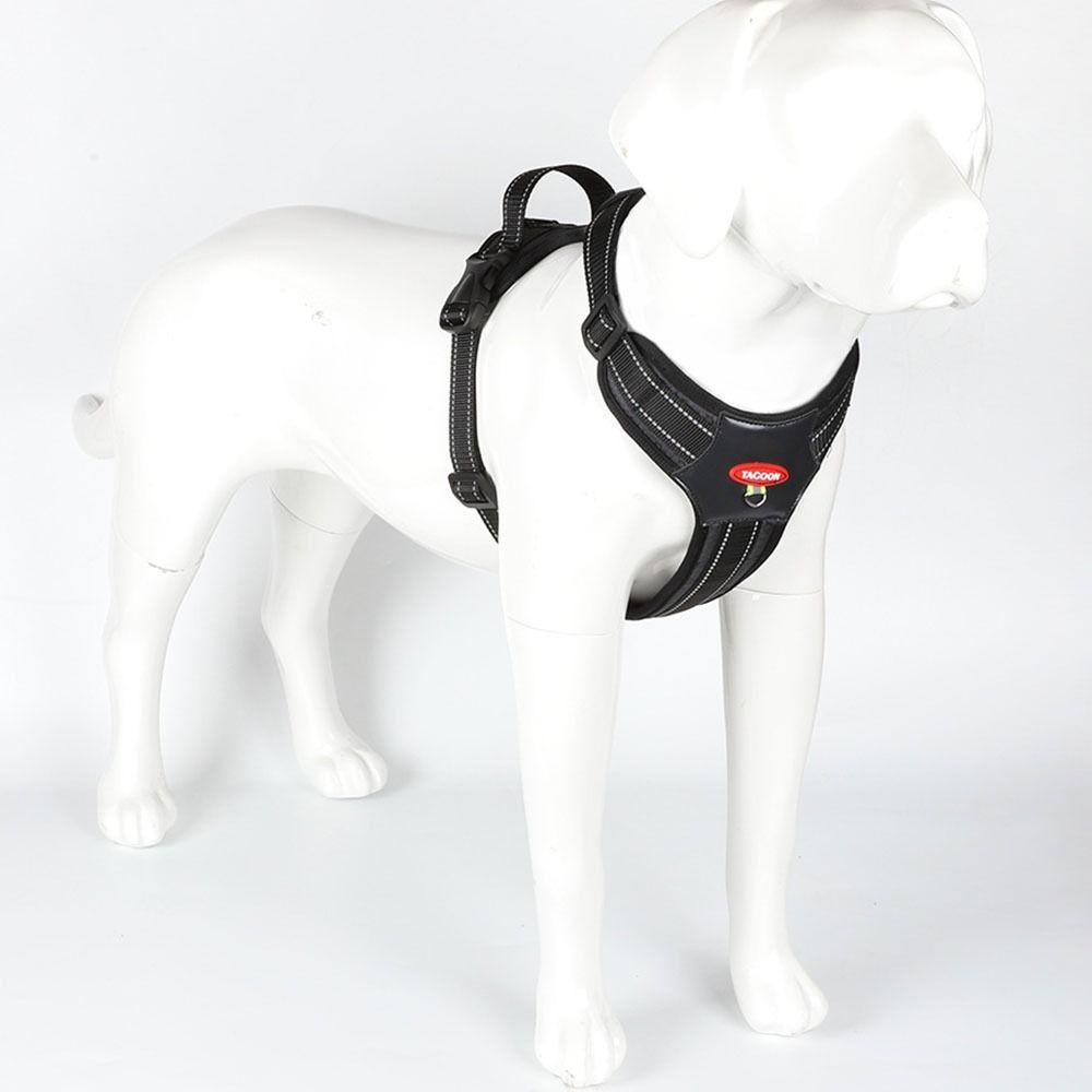 Breathable Pet Chest Straps Explosionproof Dog Lead Leash Washable Dog Vest Harness  Puppy