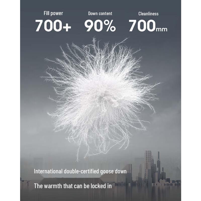 BOSIDENG B250136706 Short Spliced Stand-Collar Lightweight Goose Down Jacket