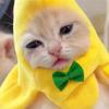 Detachable Hat Doll Head Cover Cartoon Animal Doll Headdress Children's Surprise Gift Dolls Clothes Accessories