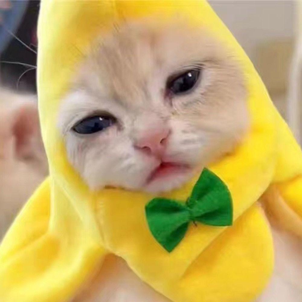 Detachable Hat Doll Head Cover Cartoon Animal Doll Headdress Children's Surprise Gift Dolls Clothes Accessories