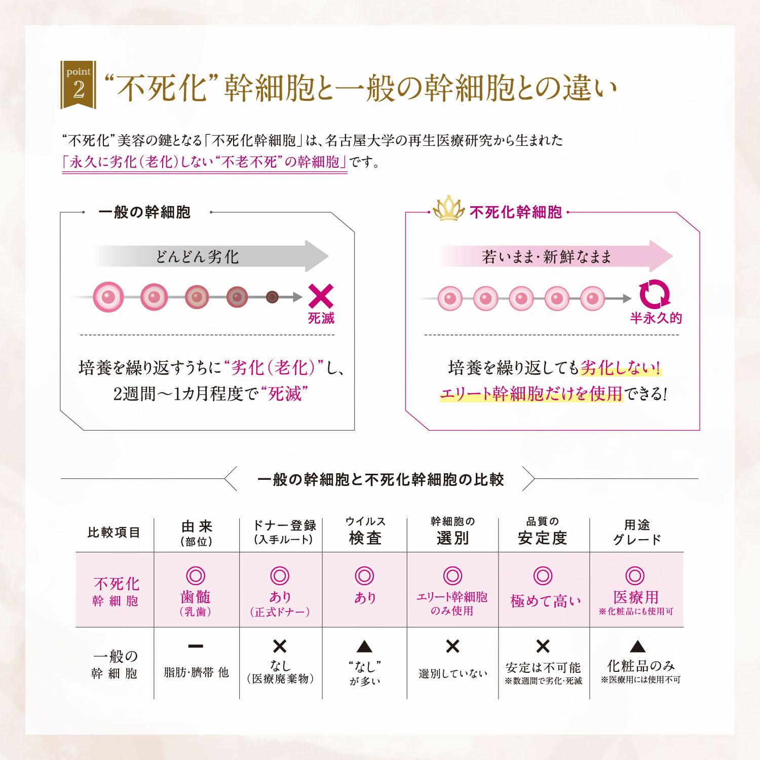 美容液 Regenity FK cream 30g DARWIN リジェニティ FK クリーム｜Regenity FK cream｜不死化ヒト歯髄