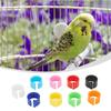 Plastic Re-use 7mm /0.27 Inch 10 colors Set kit Chicks Rings Poultry Leg Band Bird Pigeon Parrot 100Pcs 8mm Useful