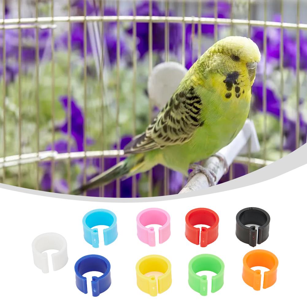 Plastic Re-use 7mm /0.27 Inch 10 colors Set kit Chicks Rings Poultry Leg Band Bird Pigeon Parrot 100Pcs 8mm Useful