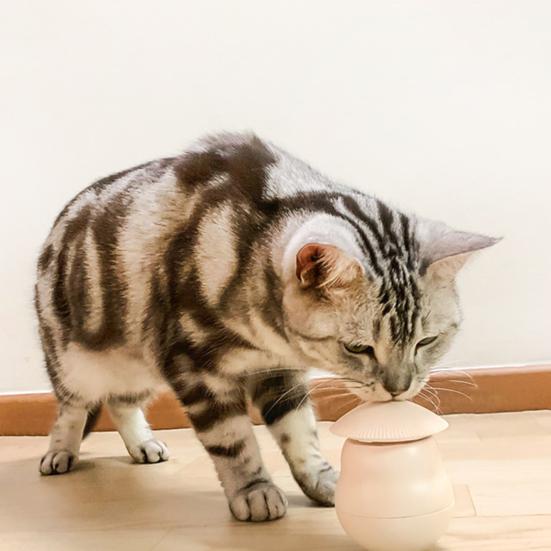 Automatic Rotating Cat Teaser Red Beam Cat Chasing Toy Auto-Sensing Interactive Rocking Cat Toy for Indoor Cats to Exercise And Relieve Boredom