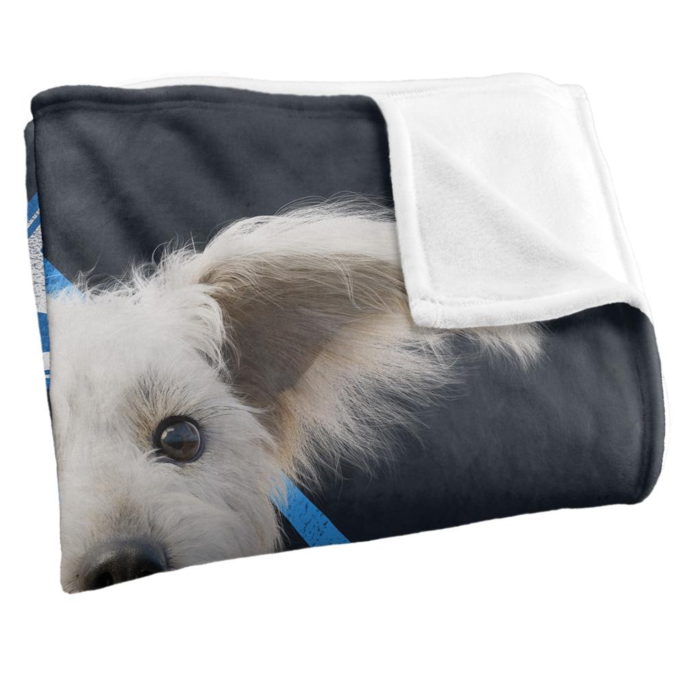 Superman Silky Diamond Krypto Supersoft Blanket