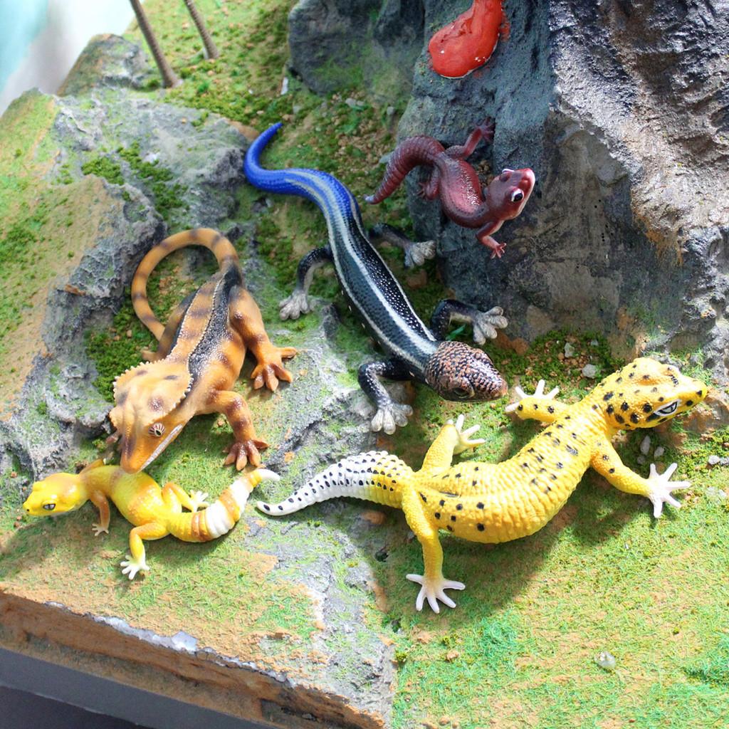 Phelsuma Pvc Replicas For Botanical Gardens And Nature Display Settings