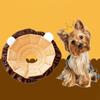 Cani – Collari e guinzagli per cani