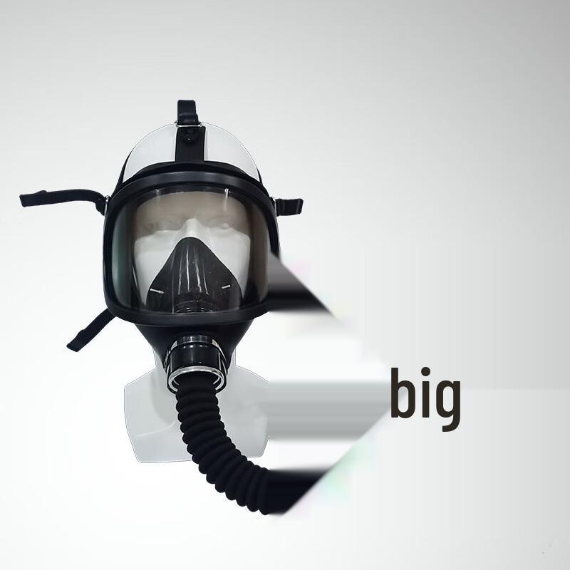 Banggou MF14 Carbon Monoxide Full-Face Gas Mask