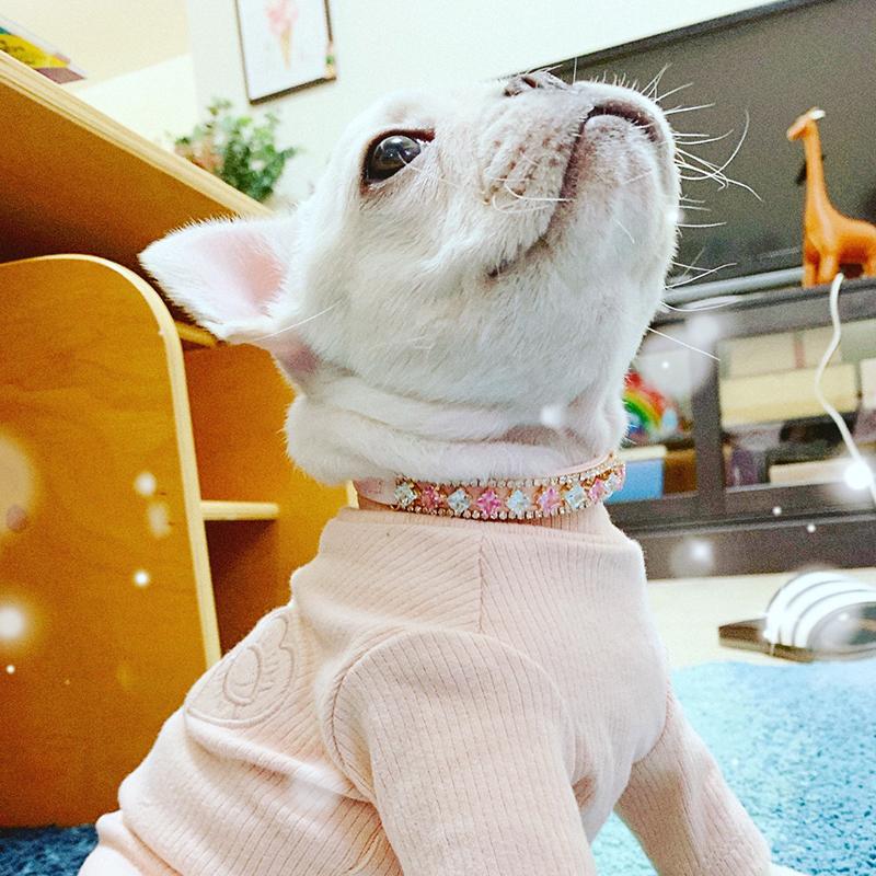 Luxury Cat Puppy Pearl Necklace Rhinestone Collar for Cats Small Dogs Ragdoll Cat Sphynx Necklaces Pet Accessories Collier Chat