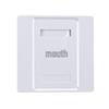 FiberHome Cat5e/Cat6 Network Wall Plate