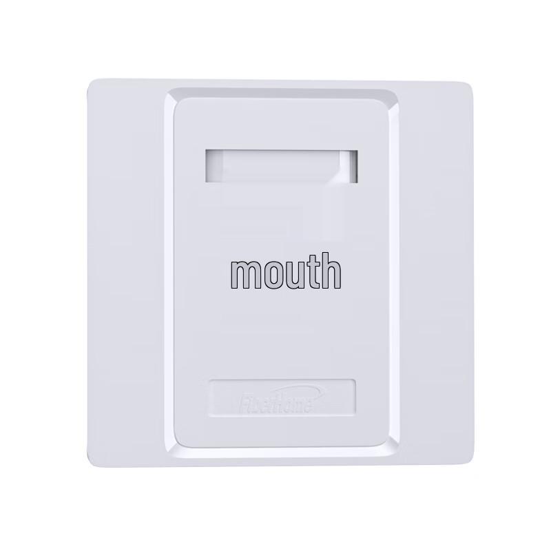 FiberHome Cat5e/Cat6 Network Wall Plate