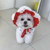 Primavera Verão Cachorro Fofo Cereja Roupa de Banho Vestido Urso Teddy Abelha Cão Pequeno e Médio Saia Cão Animal de Estimação Vestido