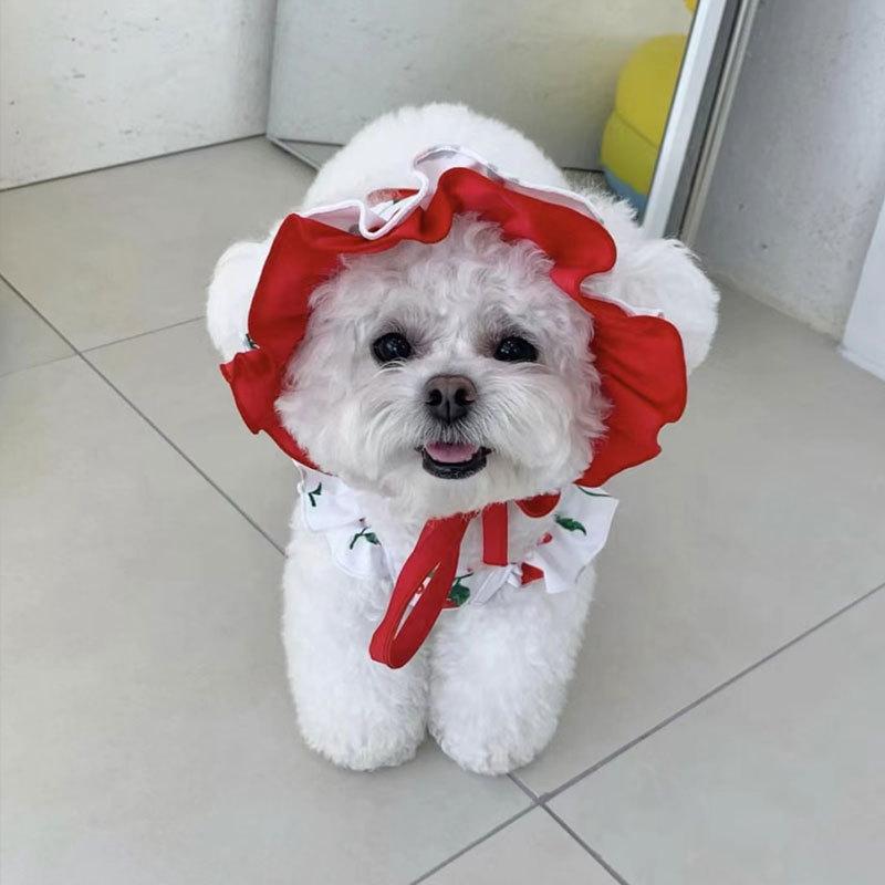 Primavera Verão Cachorro Fofo Cereja Roupa de Banho Vestido Urso Teddy Abelha Cão Pequeno e Médio Saia Cão Animal de Estimação Vestido