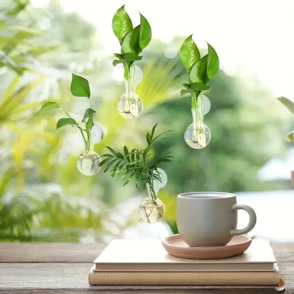 4pcs/set Self-Watering Plant Hydroponic Vase Transparent Hanging Fish Tank  Living Room