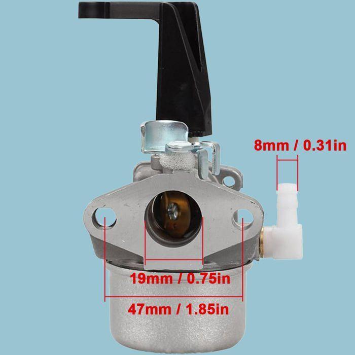 Carburateur compatible Briggs & Stratton 696065/697422 pour moteurs 5–6HP (110402, 110412, 215369) - kit