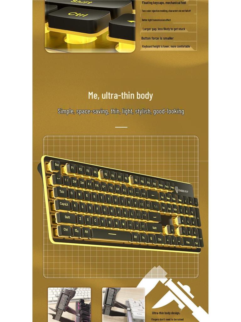 Langtu Silent Wired Keyboard with Backlit Mechanical Feel for Office & Laptop