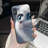 For Redmi Note 5/Note 6 Phone Case Trendy Design Tempered Glass Bumper For Xiaomi Redmi Note 5 6 Pro Full Protection Back Covers