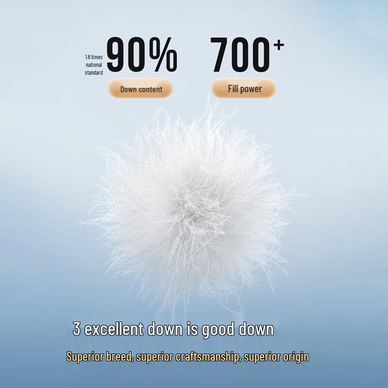 BOSIDENG B250131021 Diamond Quilted Stand Collar Down Jacket