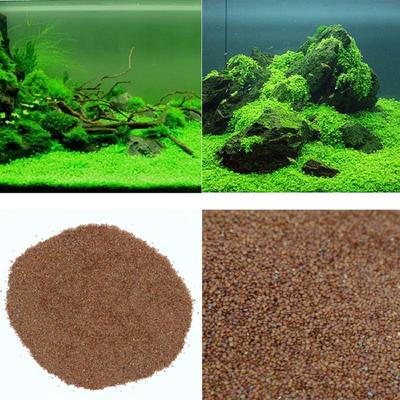 Large-Leaf Pearl Aquatic Plant Seeds for Aquariums and Hydroponic Decorations