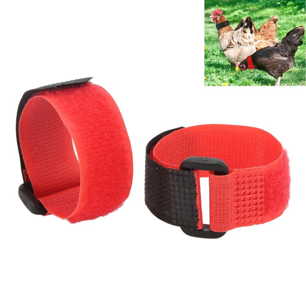 2 unidades de Collar de Nylon para Gallo Collar Duradero para Cuello de Pollo Collar Sin Ruido Para Patos y Gansos