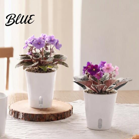Mini Planters for Alocasia Corms Self Watering Plant Pots Indoor Plants Small with Water Level Indicator Clear Flower Windowsill Inner Cup Drainage