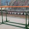 Zhong Aoda Outdoor Parallel Bars