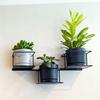 Jungle Hanging Wall Flower Stand, Modern Metal Holder for 3 Pots, Black, Horizontal