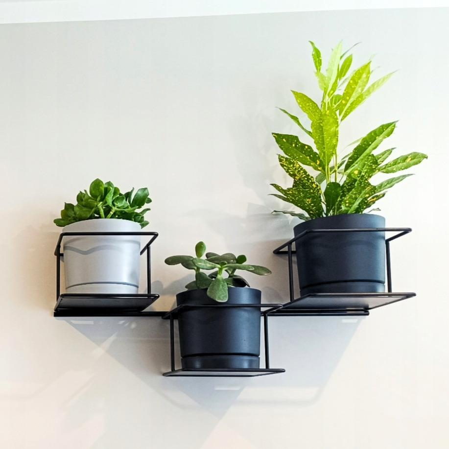 Jungle Hanging Wall Flower Stand, Modern Metal Holder for 3 Pots, Black, Horizontal