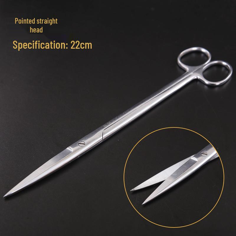 Stainless Steel Surgical & Teaching Dissection Scissors - Straight/Round Cutting & Gauze Scissors