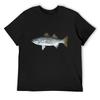 Striped Bass (Morone Saxatilis) T-Shirt Vintage Anime Shirt New Edition T Shirt Men Cotton
