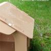 Outdoor Feeding Shelter Sturdy Cat House Safe for Garden