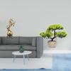 Modern Resin Horse Figurine And Faux Bonsai Tree Centerpiece Art for Living Room Office Shelf Table