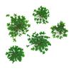 Dried Flowers For Nail Decorations Mollylac Green 5pcs