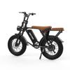 Deepower V8 Electric Dirt Bike with Dual Seat, 48V 20AH Battery, 20"x4.0" Fat Tires