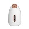 Cold and Hot Face Sprayer Small Facial Ion Water Replenishing Spray Machine Household Fragrance Beauty Face Steamer