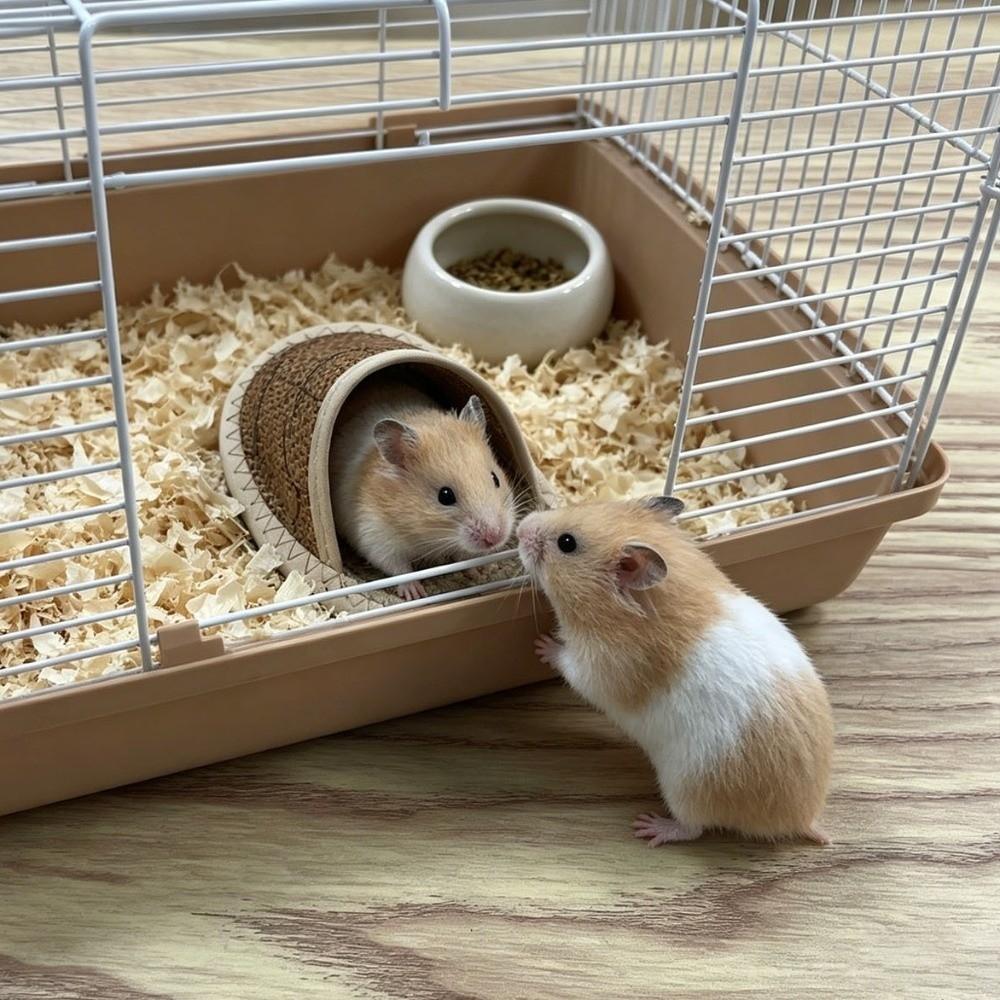 Breathable Hamster Cool Nest Wear Resistant Small Pet Bed Durable Pet Cave Nest  Pet Resting