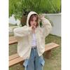 Spring and Autumn New Hooded Short Jacket Women's Design Sense Small Casual Loose Jacket Top