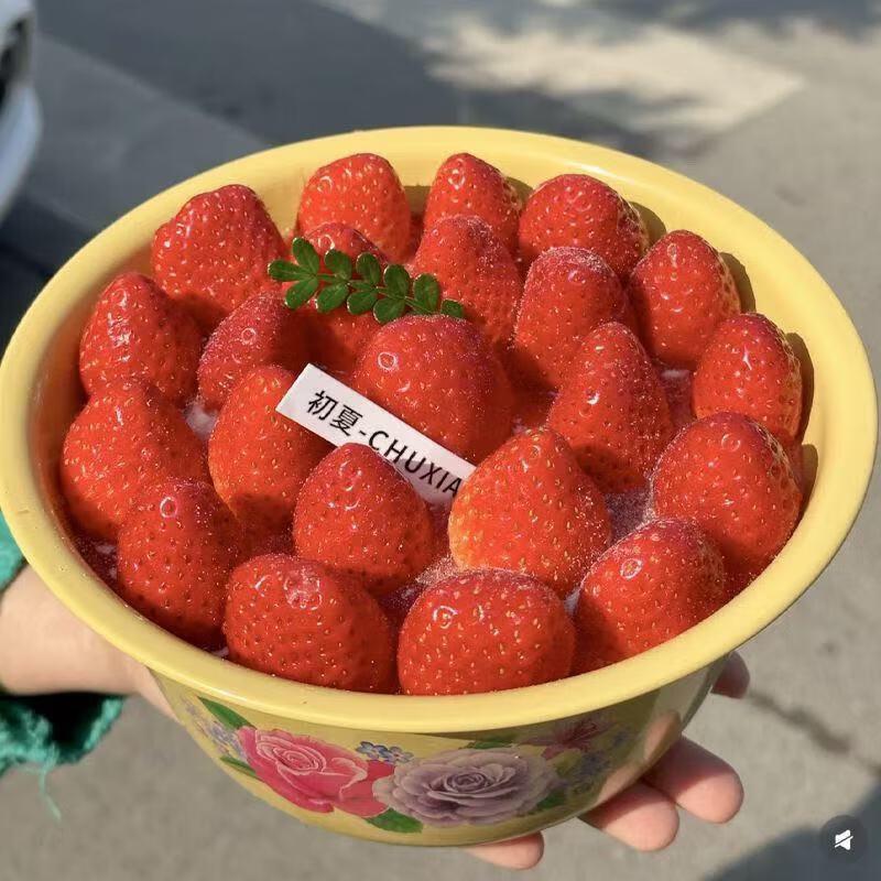 

Vintage Red Flower Enamel Basin with Lid