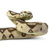 Safari Boa Constrictor Snake Figure Scale Model 266529 1/4