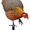 Decorative Hen Garden Stake Animal Statue Stakes Gifts Patio Realistic Yard Art