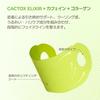 Dr. Melaxin CACTOX Cactus V-Up Mask 4 Sheets Cooling Lift Up Korean Skin Care Cosmetics