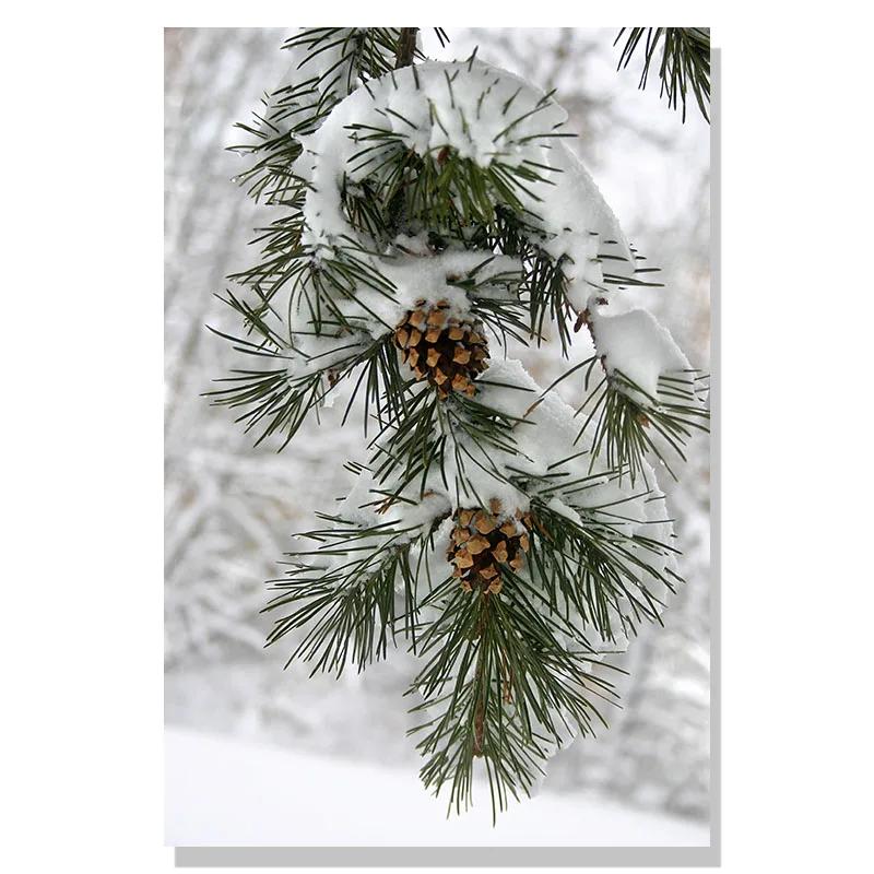 Nordisches Weihnachtsgeschenk Grünes Haus Rentier Eichhörnchen Wandkunst Leinwandmalerei Poster und Drucke Wandbilder für Wohnzimmerdekoration