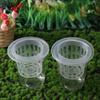 Plant Propagation Clear Hydroponic Pots Growing Planting Cups  Tabletop Planting
