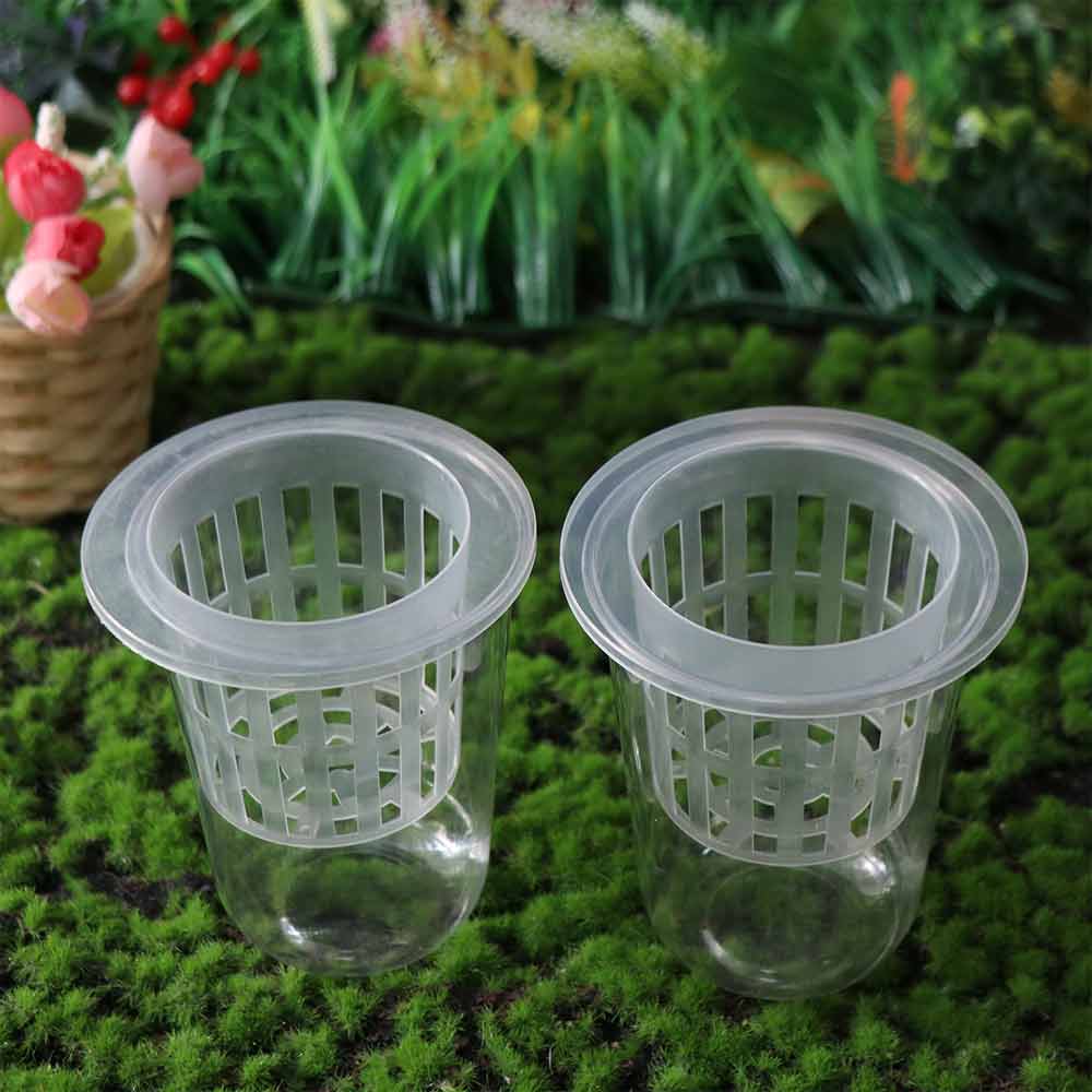 Plant Propagation Clear Hydroponic Pots Growing Planting Cups Tabletop Planting