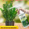 Concentrated Money Tree Nutrient Solution for Indoor Plants – Revive Yellowing Leaves, Improve Flowering & Foliage for Potted Greens