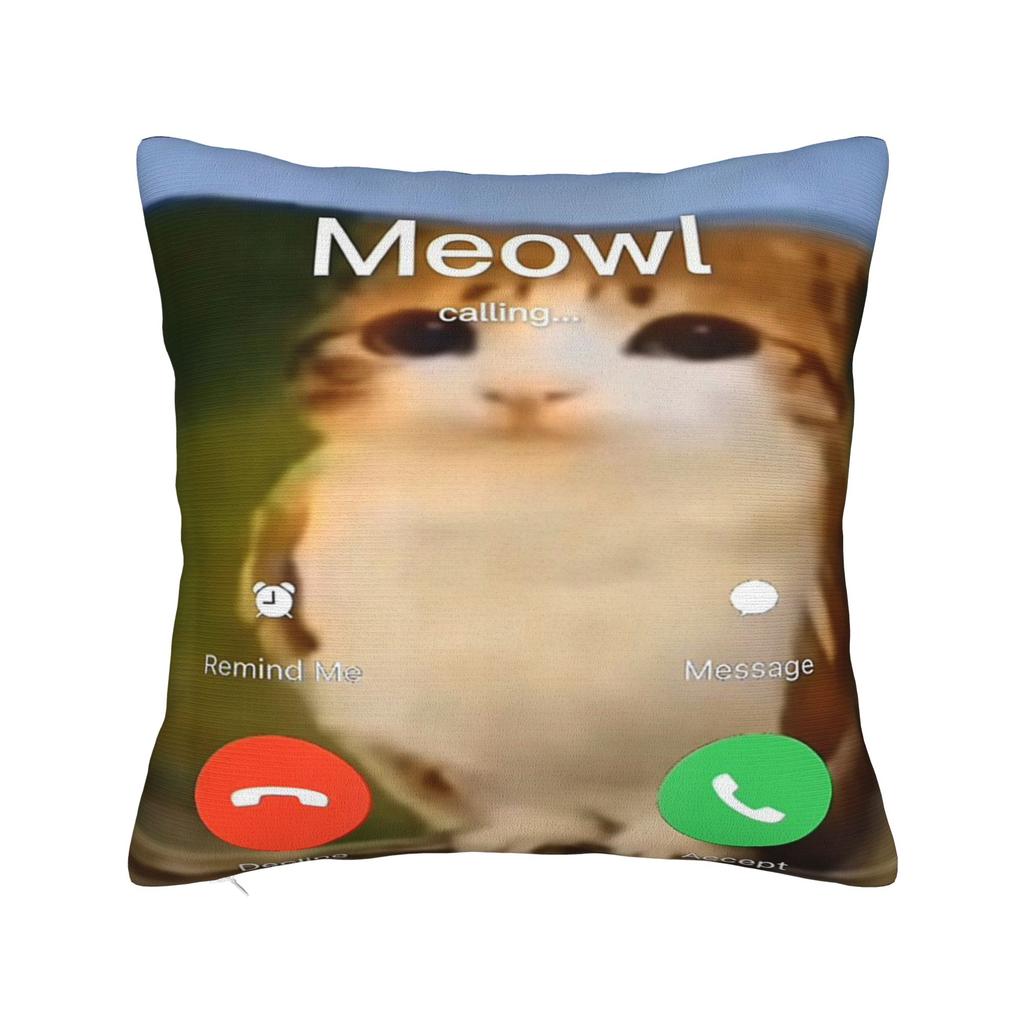 Gatto Gufo Divertente Maledetto Cervello Marcio da Internet Bootleg Meowl Federe Federa Divertente Per Divano Letto Salotto Copricuscino