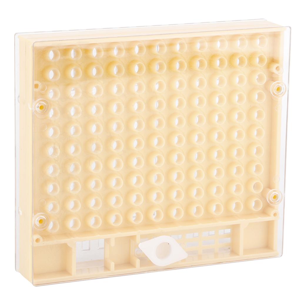 Beekeeping Rearing Cell Cup Kit Bee Queen Protective Cage Beekeeper Equipment Tools